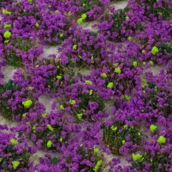 WWS Heather Static Grass Tufts, 6 mm, 100 pcs, WWSCENICS SGTHET06
